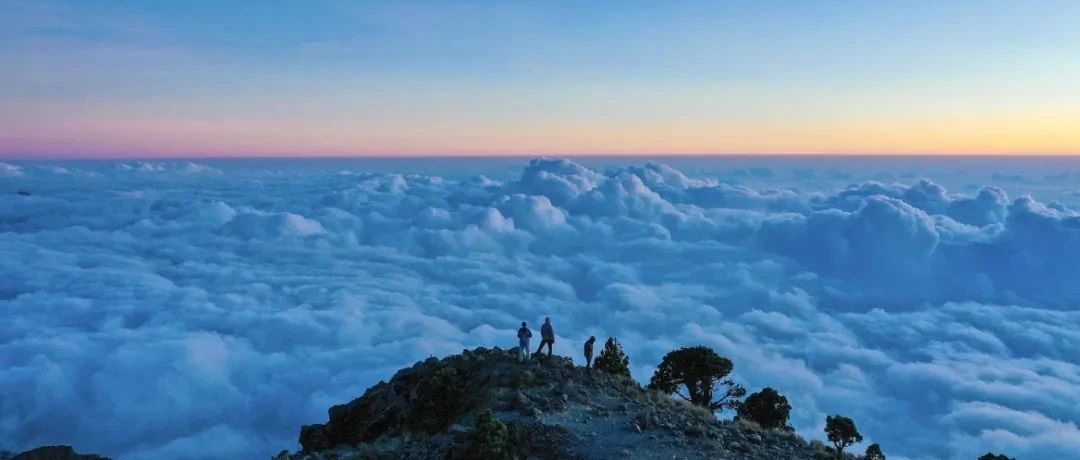 李竹新春致信英诺帮：形势喜人，形势逼人